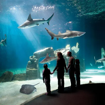 Apartment Amarcorde In Corso Buenos Aires Con 6 Posti Letto Chiavari